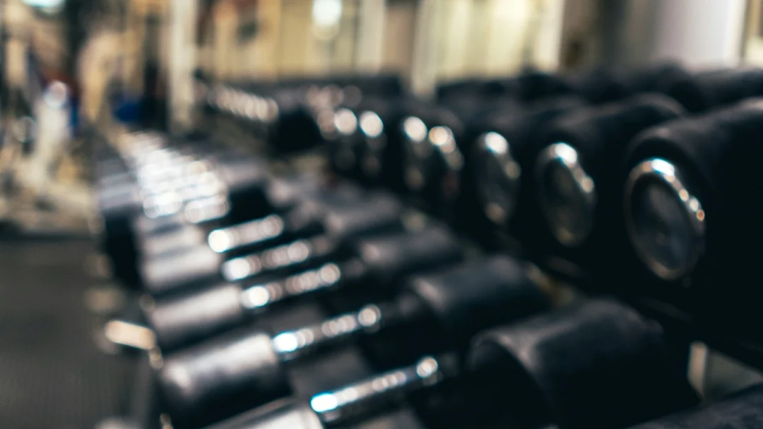 A rack of dumbbells along a gym wall